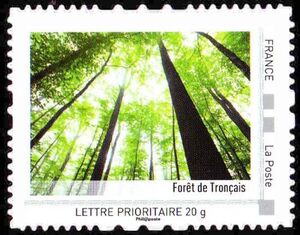 Foret de Troncais