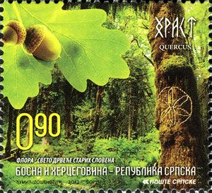 Oak Bosnia Herzegovina Serbian admin