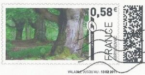 Quercus robur France