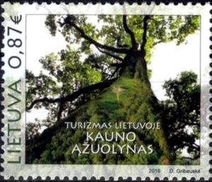 Ąžuolynas Lithuania