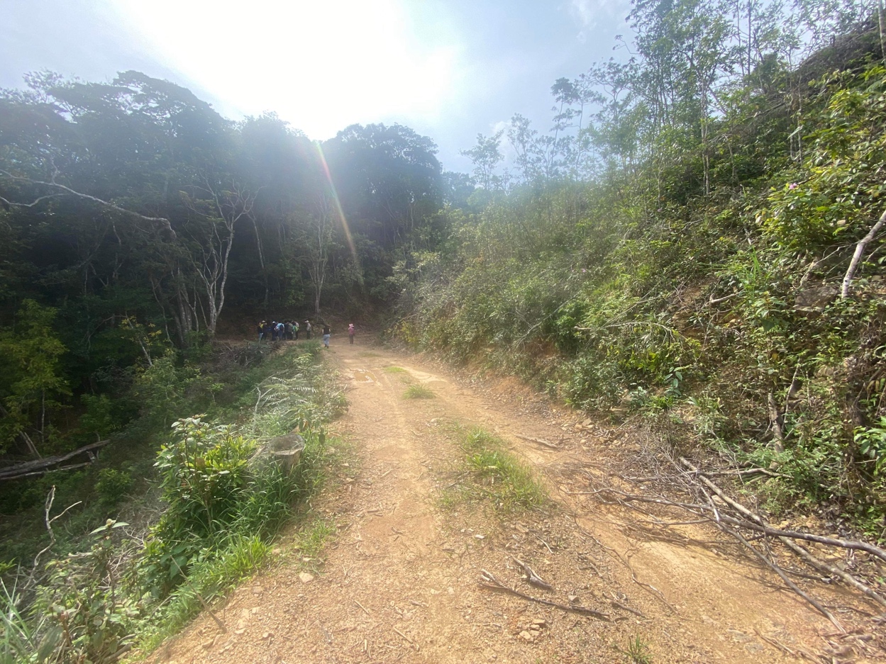 The remains of the surrounding trees are truly shocking and distressing