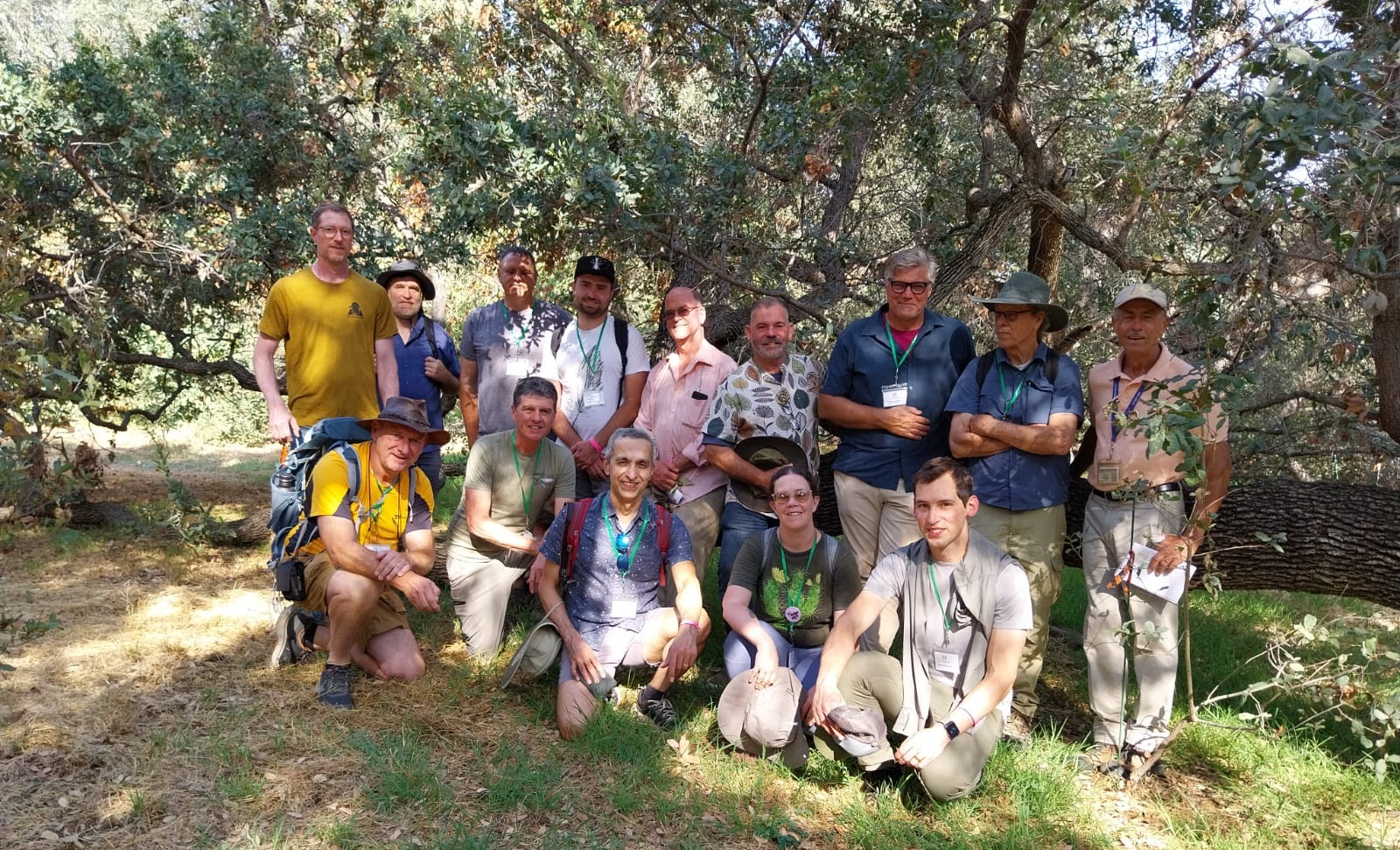 Our group in the Los Angeles County Botanic Garden with curator Jim Henrich (far right), posed in a native grove of Quercus engelmannii, in front of an individual that had fallen yet continues to grow.