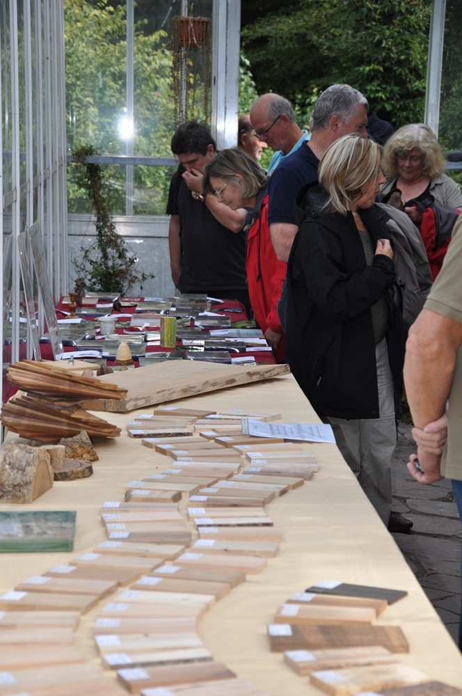 Exhibition Dutch Wood Collectors