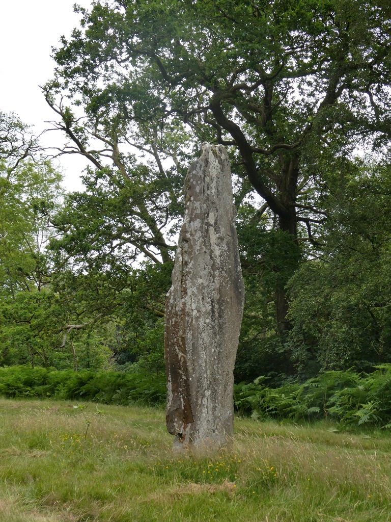 The Fist Stone at Glanusk