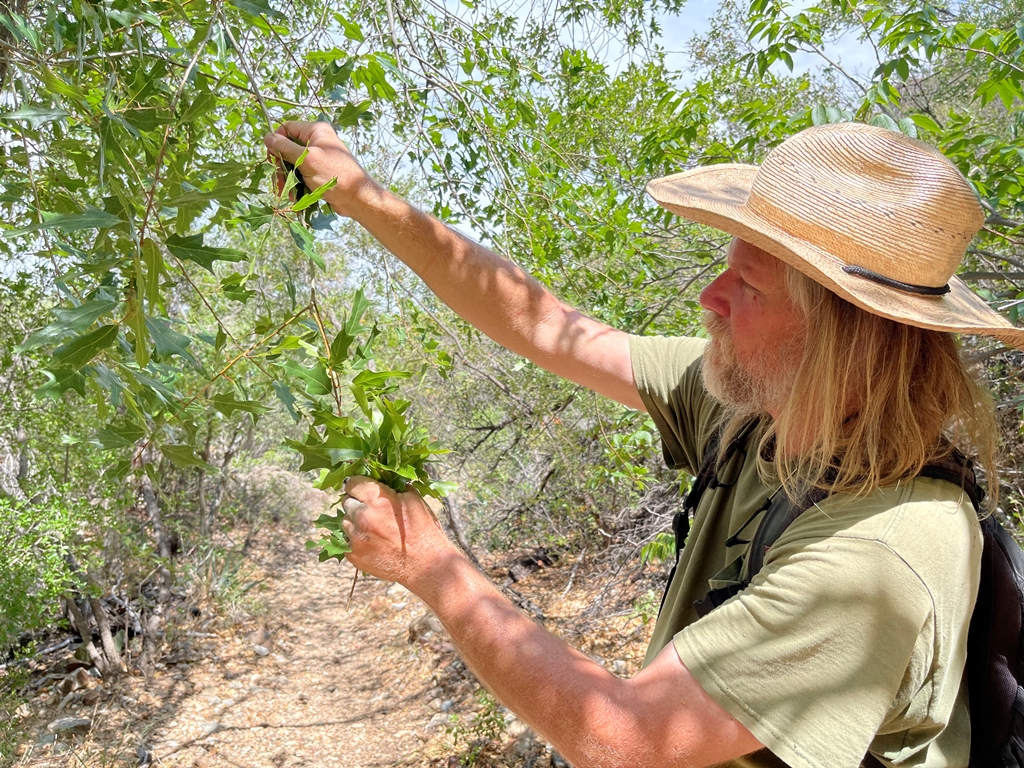 Adam Black collecting in Texas