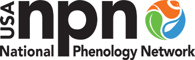 NPN logo