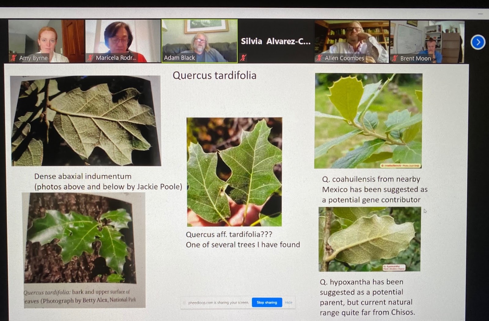 Adam Black presentation