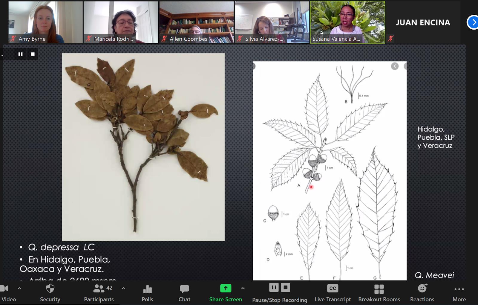 Susana Avalos Presentation