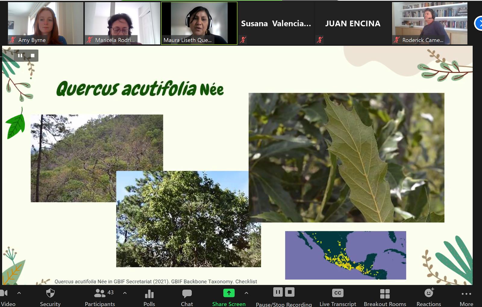 Maura Quezada presentation