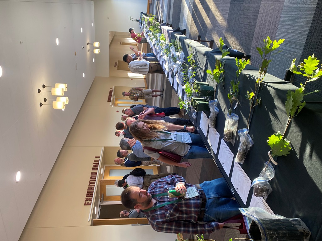 Silent Auction with bidders