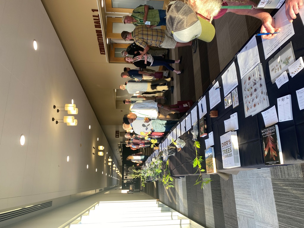 Biddin gon items in the silent auction