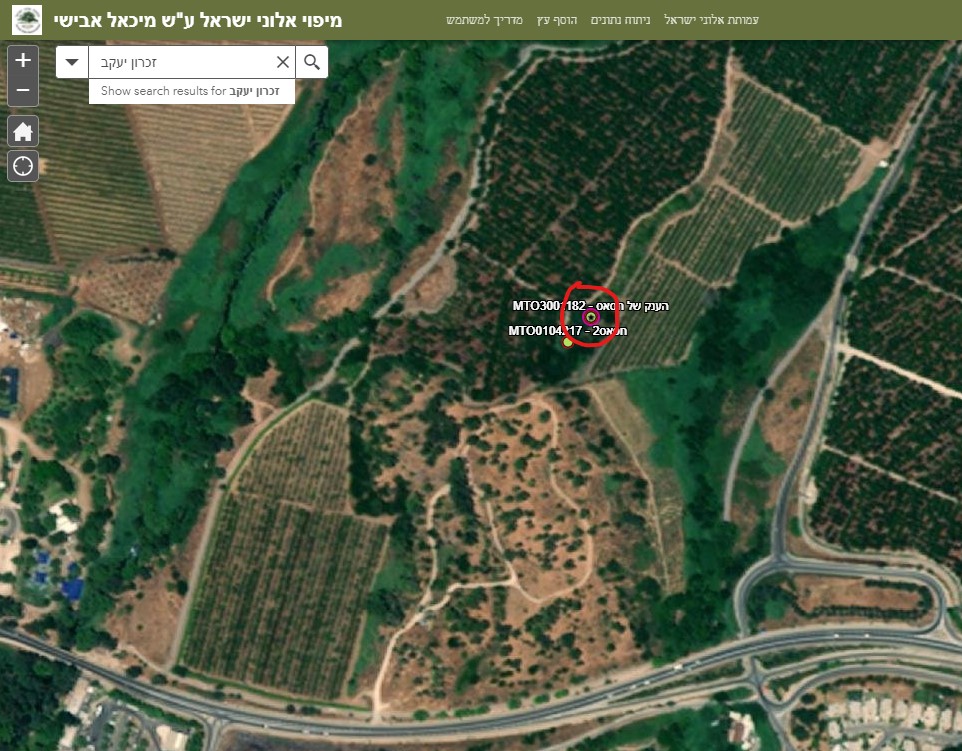Magenta ring on map