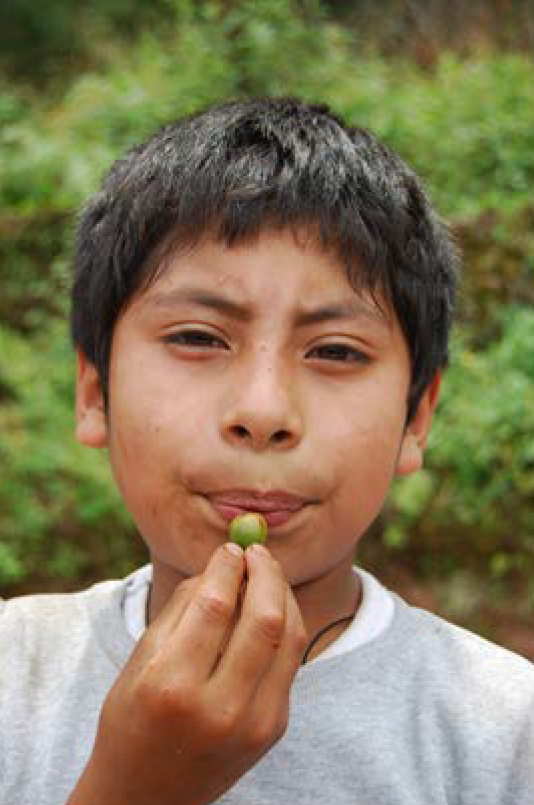 Mexican child with whistle made of acorn