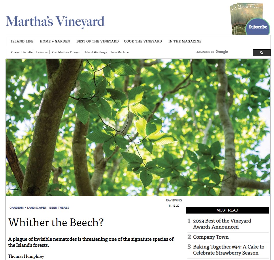 Wither the Beech? by Thomas Humphrey