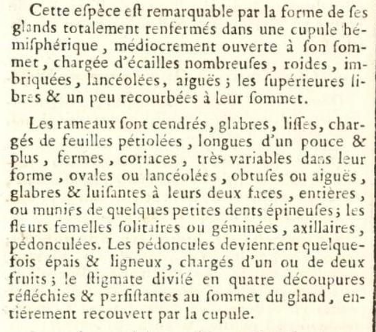 Poiret description part 2