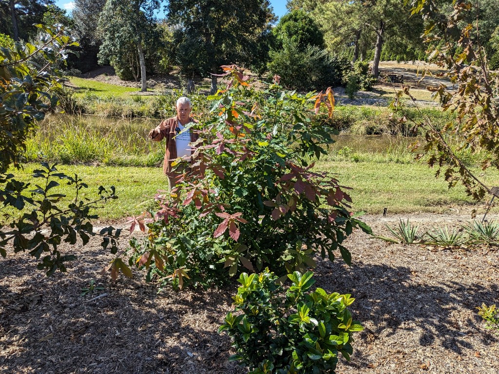Tony Avent with Quercus germana