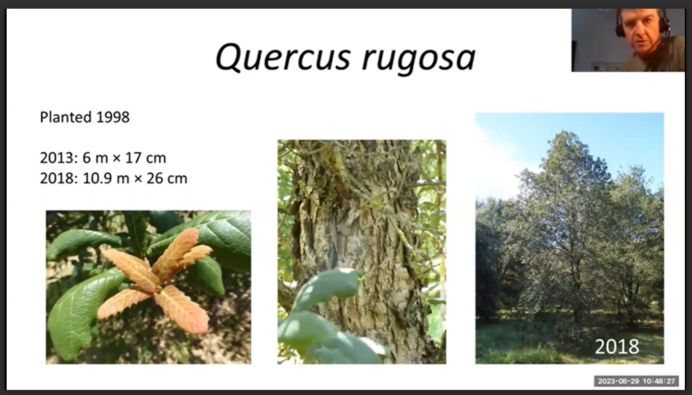 Screenshot from Roderick Cameron's presentation