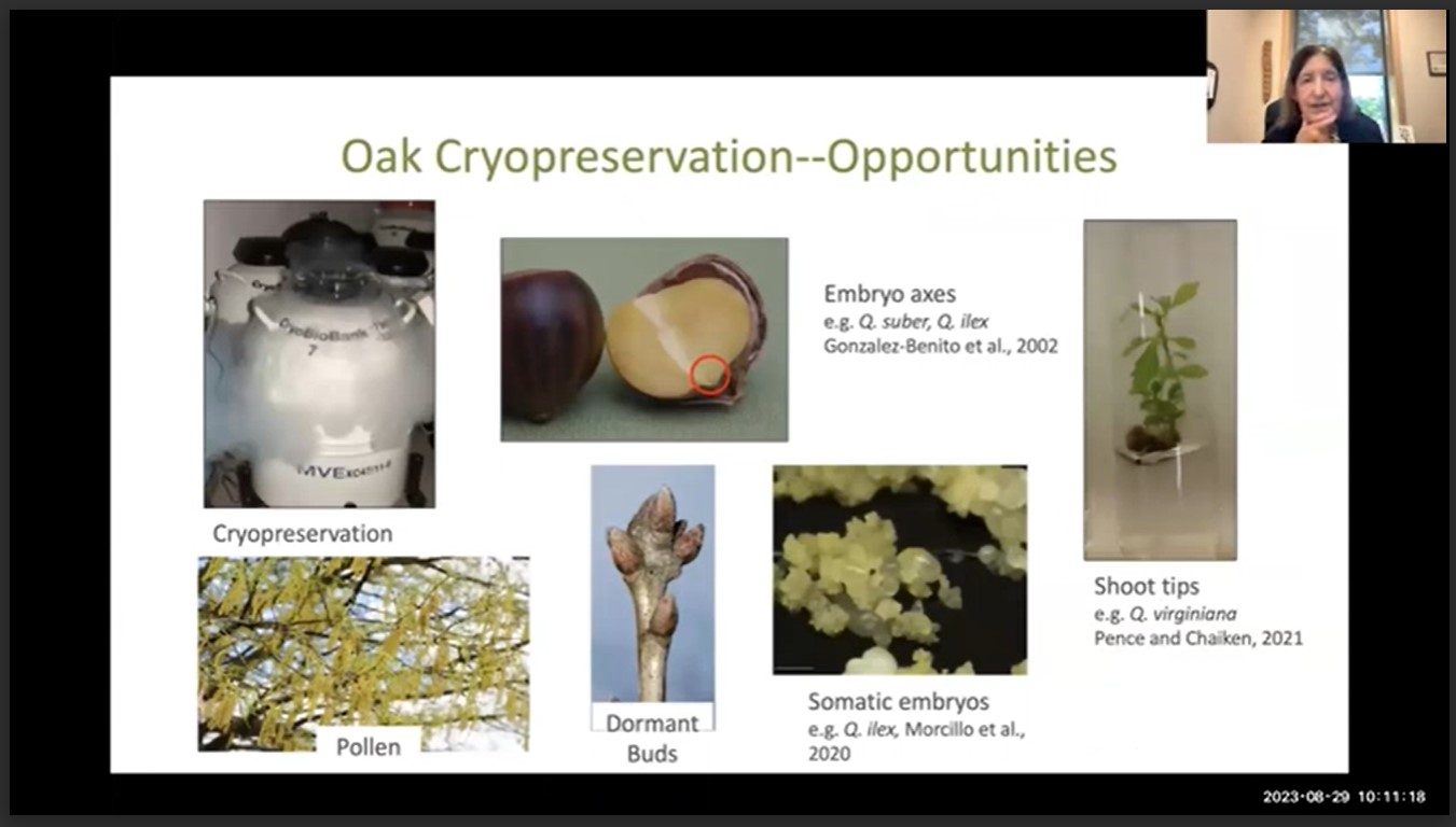 Screenshot from Dr. Valerie Pence's pesentation