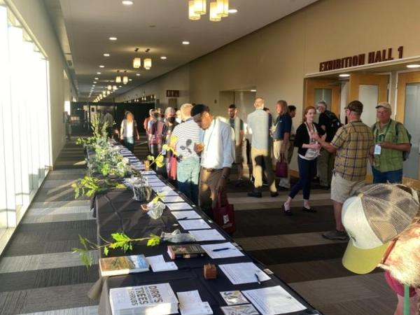 Silent auction at Las Cruces