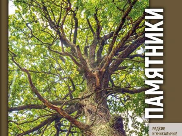 Living Monuments: Oaks in Belarus