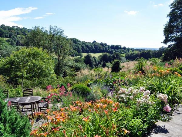 Quercus monimotricha