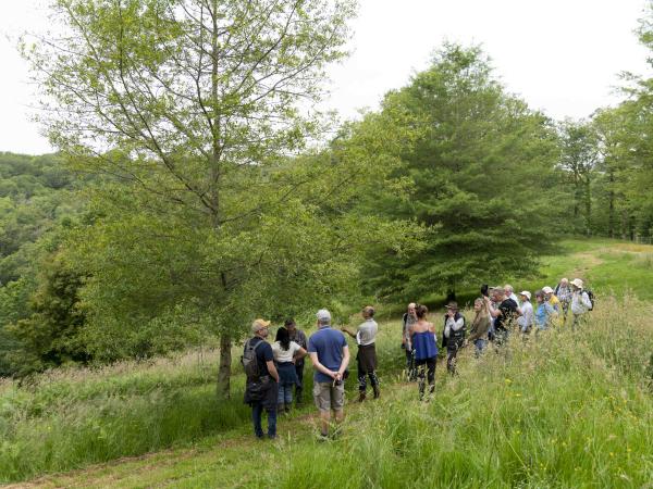 Participants at the Oak Study Day in Arboretum des Pouyouleix