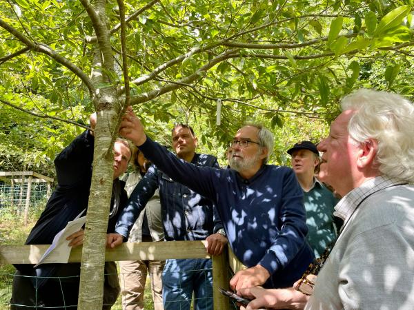 Discussing remedial pruning at Penrice © Sairus Patel