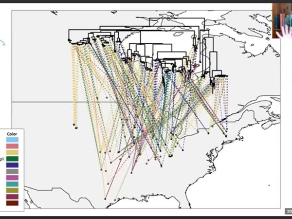 Slide from Dr. Hipp's presentation