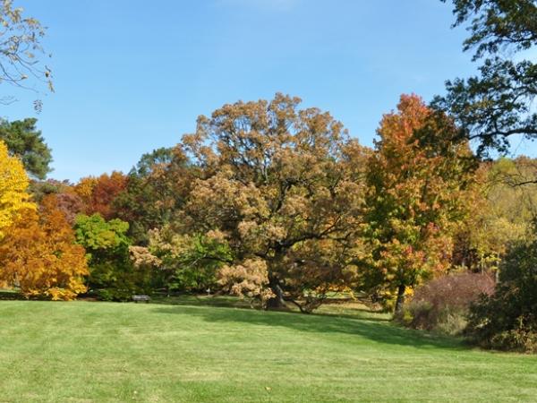 Morton Arboretum - Photo: C. Snyers