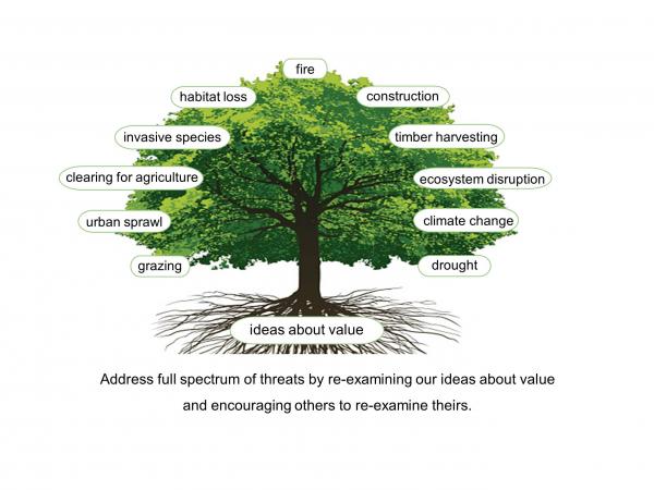 The many overlapping threats to oaks come from common roots: mistaken ideas about value and how we can know it. We can address a full spectrum of threats by re-examining our ideas about value, and encouraging others to re-examine theirs. All of us and any who follow will live better by practicing science to know value. slide11_4.jpg