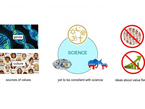 People acquire many ideas about value by chance. Genes and culture are primary sources. Religion, politics, and economics have yet to be made fully consilient with science, so ideas about value we base in them, for example that we want continue to grow human population and convert natural resources to artifact at increasing rates, are often flawed. slide12_4.jpg