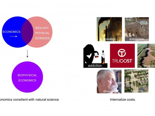 We can also use ecology as a basis for an honest biophysical economics in which we make economics consilient with biology and other physical sciences. With ecology we can more completely internalize costs to account for what we now call externalities: pollution, extinction, erosion, flooding, disease, addiction, and more. slide14_4.jpg