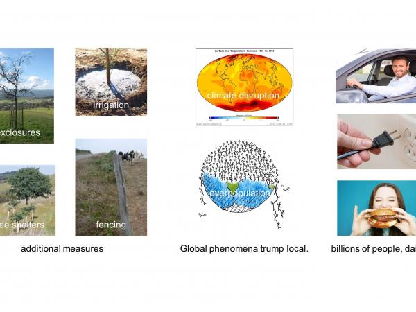 Even as we took additional measures like exclosures, irrigation, tree shelters, and fencing, we realized that global phenomena like climate disruption and overpopulation trump local. Billions of us are impeding oak regeneration with everyday actions, perhaps making impossible re-establishment of stable oak populations on lands where we labor. slide2_4.jpg