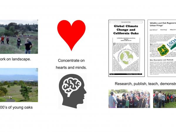 We continue to work on the landscape, and we’ve thousands of oaks to show for it. We increasingly concentrate on hearts and minds. These are essential to securing past gains and limiting future losses. To reach hearts and minds we research, publish, teach, and demonstrate giving special attention to global context and to roots of threats to oaks. slide3_4.jpg