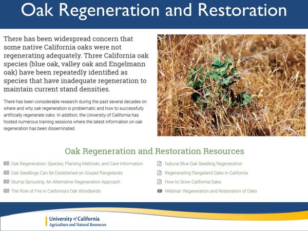 There has been a lot of interest lately about oak regeneration and restoration, so we created a new page dedicated to that topic. From the oak regeneration and restoration page, you can access information about what species to plant in your area, whether to plant acorns or seedlings, how to protect your seedlings, and whether or not you should irrigate. slide12_0.jpg