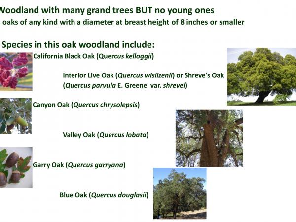 slide2_3.jpg