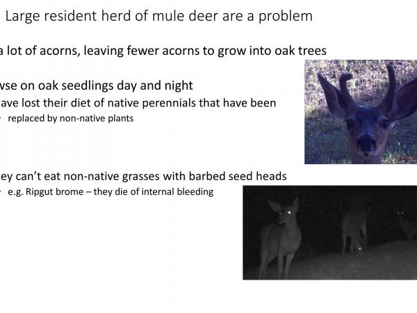 slide4_3.jpg