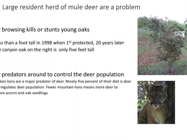 slide5_4.jpg