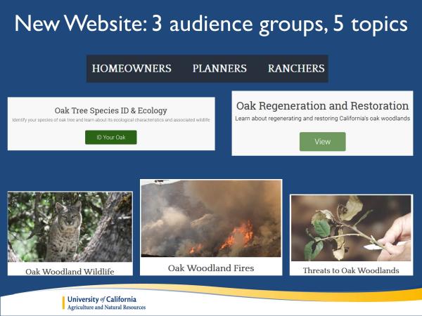 We decided to target three audience groups: Homeowners, Planners, Ranchers. So you’ll see links to those three groups at the top of the home page. We also wanted to focus on 5 topics related to oaks woodlands that are most asked about: Oak ID & Ecology; Regeneration and Restoration; Wildlife, Fire, and Threats. slide6_0.jpg