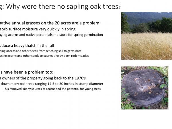 slide6_3.jpg