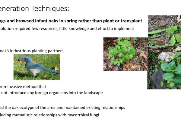 slide7_3.jpg