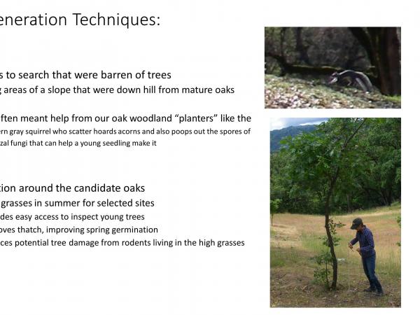 slide8_4.jpg