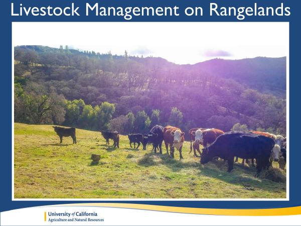 Ranchers are a new audience that we are trying to reach out to, so we developed a page focused on issues that affect them, like restoring oaks on a ranch, grazing guidelines to improve success of oak plantings, oak toxicity in livestock, and the influence of oak canopy on forage production. slide9_1.jpg