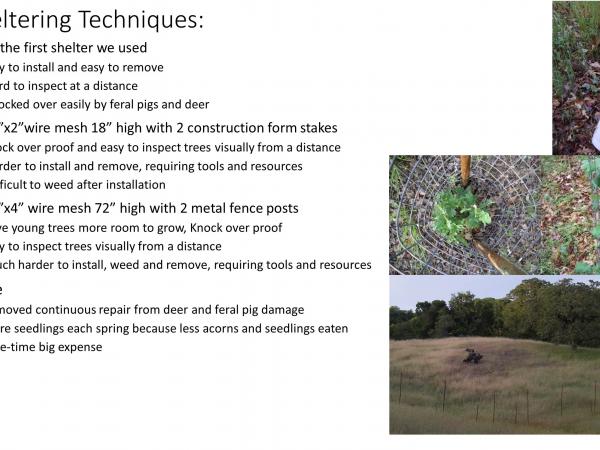 slide9_4.jpg