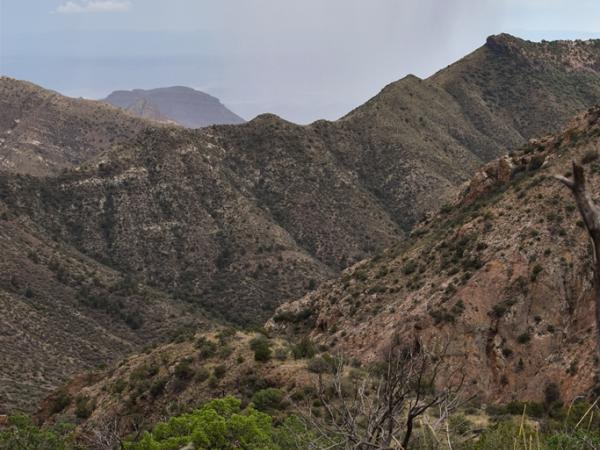 Landscape, Big Bend National Park © Emily Beckman Bruns landscape-bigbendnationalparktx-emilybeckmanbruns2022_-_22.jpg