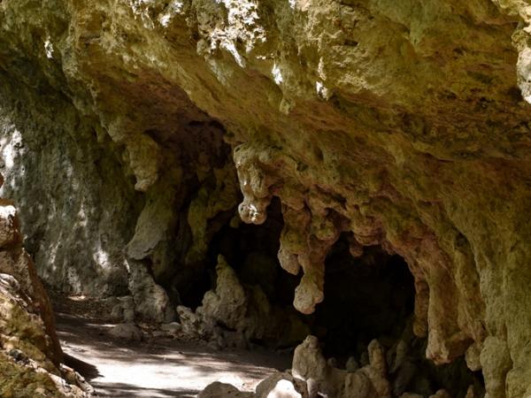 Landscape, Guadalupe Mountains National Park © Emily Beckman Bruns landscape-guadalupemountainsnationalpark-emilybeckmanbruns2022_-_17.jpg