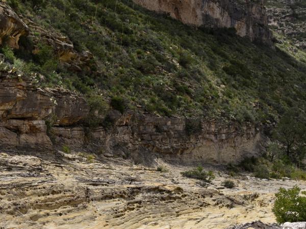 Landscape, Guadalupe Mountains National Park © Emily Beckman Bruns landscape-guadalupemountainsnationalpark-emilybeckmanbruns2022_-_29.jpg