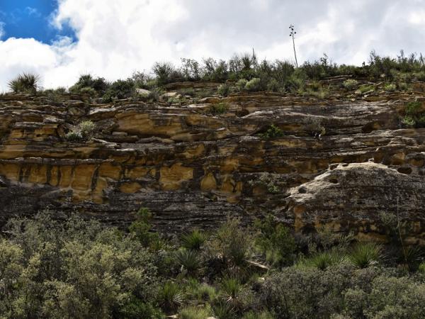 Landscape, Guadalupe Mountains National Park © Emily Beckman Bruns landscape-guadalupemountainsnationalpark-emilybeckmanbruns2022_-_31.jpg