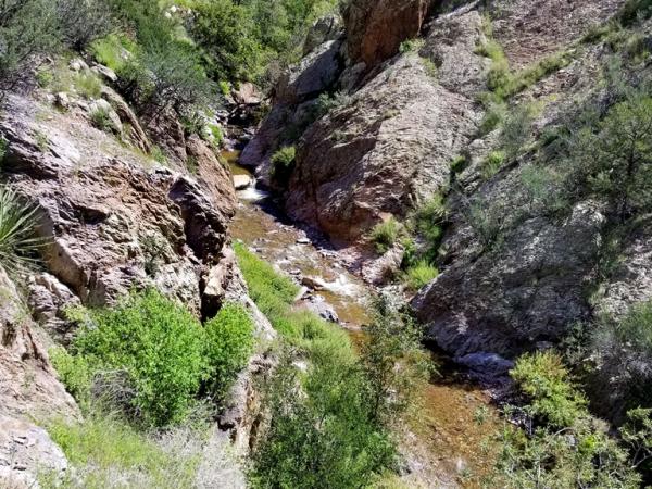 Roadside canyon, Mimbres Mountains © Guy Sternberg mimbresmts-roadsidecanyon-1_s8.jpg