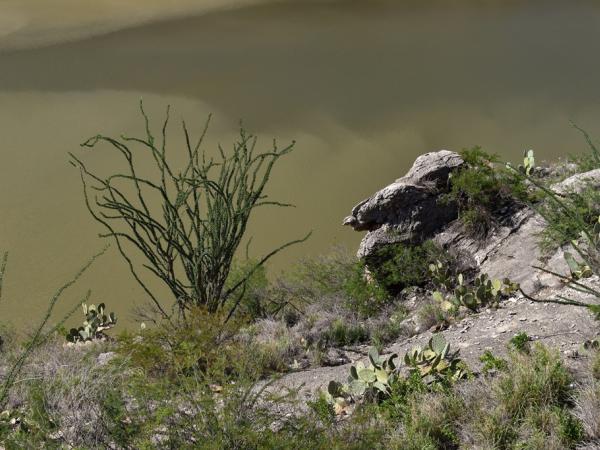 Pecos River near Comstock © Emily Beckman Bruns pecosriver-nearcomstocktx-emilybeckmanbruns2022_-_7.jpg